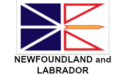 NFLD flag
